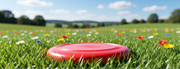 Reference red frisbee